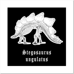 🦖 Fossil Skeleton of a Stegosaurus ungulatus Dinosaur Posters and Art